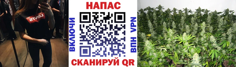 Где продают наркотики Фатеж APVP  Кокаин  Мефедрон  Амфетамин  Галлюциногенные грибы  МАРИХУАНА  ГАШИШ 