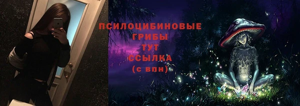 mdpv Мегион