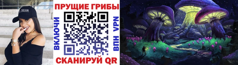 закладки  Фатеж  это Telegram  Псилоцибиновые грибы MAGIC MUSHROOMS 